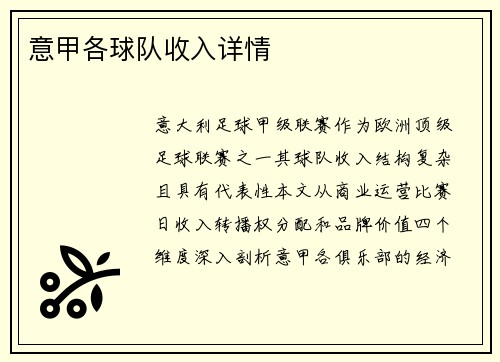 意甲各球队收入详情